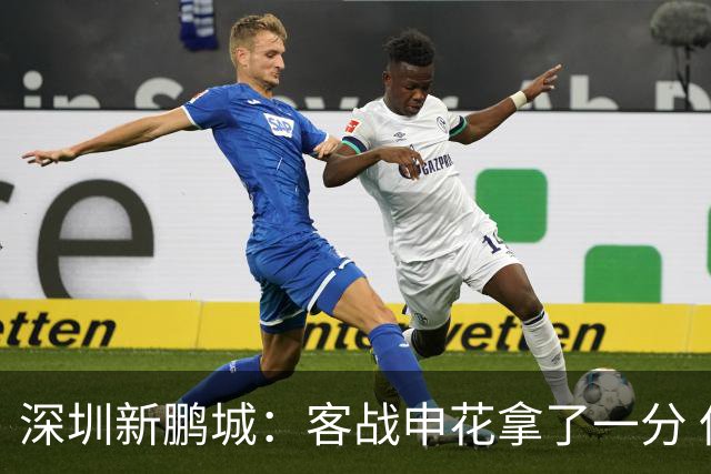深圳新鹏城：客战申花拿了一分 但丢了保级主动权