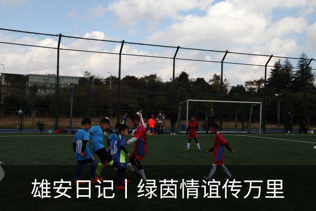 雄安日记丨绿茵情谊传万里