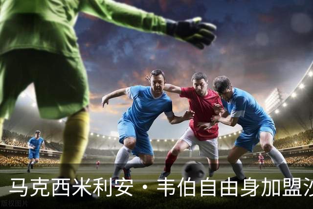 马克西米利安·韦伯自由身加盟沙尔克04